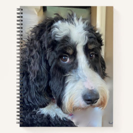 Schattige Bernedoodle Notitieboek