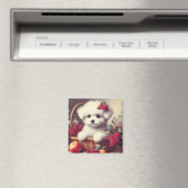 Schattige  Bichon Frisé Schilderij Magneet (Insitu (Vaatwasser))
