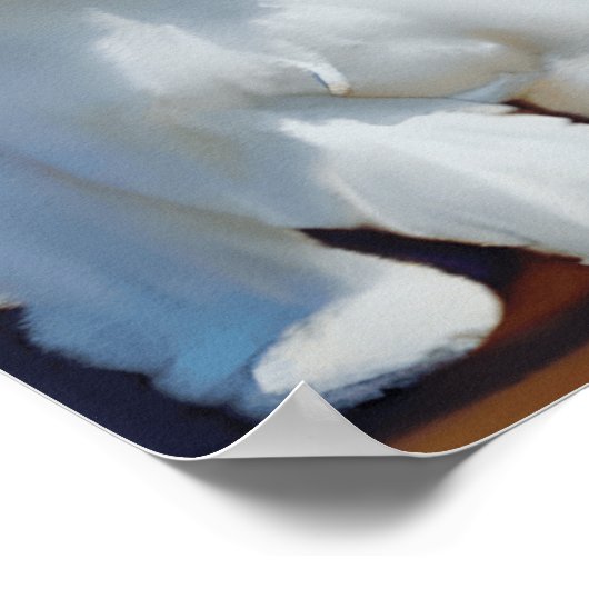 Schattige Bichon Havanese Puppy Waterverf Poster (Hoek)