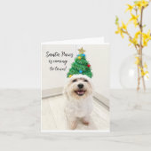 Schattige Bichon Maltese kerstkaart Santa Pootjes Kaart (Gele Bloem)