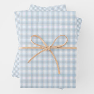 Schattige blauw gingham eenvoudige klassieke chequ inpakpapier vel