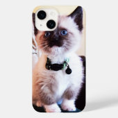 Schattige blauwe gelaatsmasker keukenfoto Case-Mate iPhone case (Achterkant)