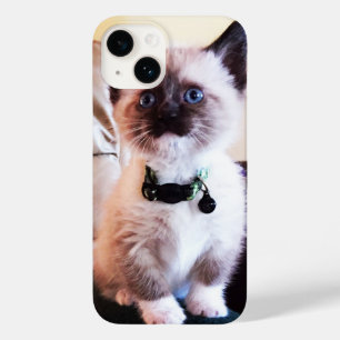 Schattige blauwgroene siamese keukenfoto Case-Mate iPhone 14 hoesje