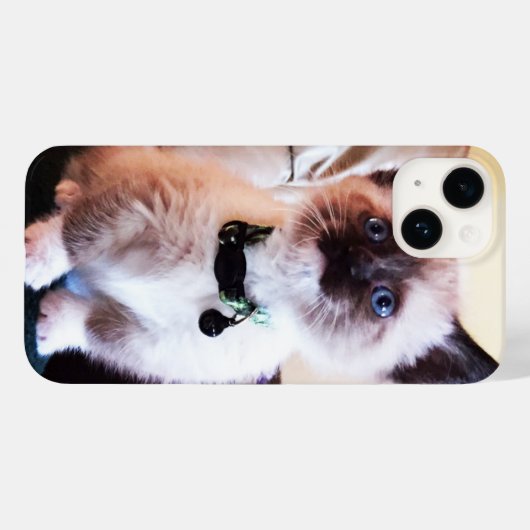 Schattige blauwgroene siamese keukenfoto Case-Mate iPhone case (Achterkant (horizontaal))