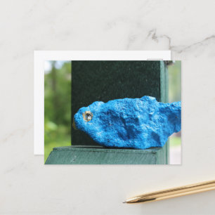 Schattige Bluebird Rock Briefkaart