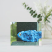 Schattige Bluebird Rock Briefkaart (Staand voorkant)