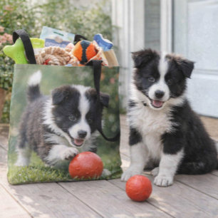 Schattige Border Collie Hond Liefhebber Draagtas