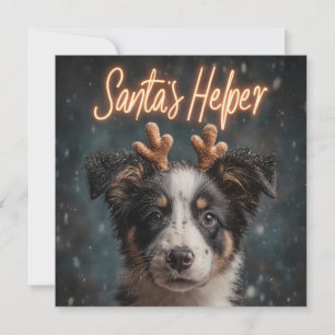 Schattige Border Collie Puppy als Hulpsinterklaas Feestdagenkaart