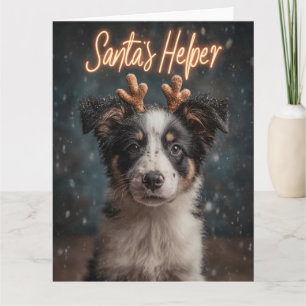 Schattige Border Collie Puppy als Hulpsinterklaas Kaart