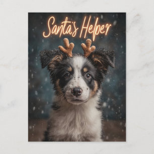 Schattige Border Collie Puppy als Santa's Helper Feestdagenkaart