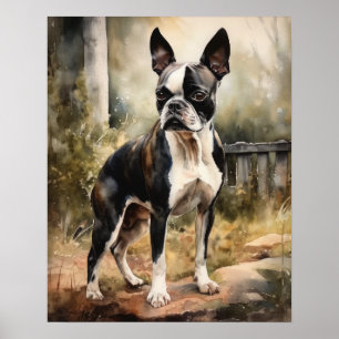 Schattige Boston Terrier Dog Art Print Poster