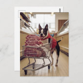 Schattige Boston Terrier-winkels voor vlees Briefkaart (Voorkant / Achterkant)