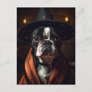 Schattige bostonterrierheks briefkaart
