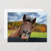 Schattige briefkaart (Voorkant / Achterkant)