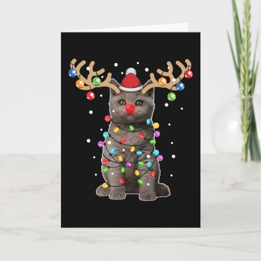 Schattige Britse Korthaar Kat Grappig Kerstvakanti Kaart (Voorkant)