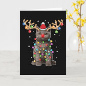 Schattige Britse Korthaar Kat Grappig Kerstvakanti Kaart (Gele Bloem)