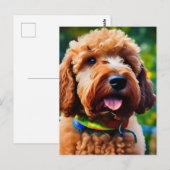 Schattige bruine poedel briefkaart (Voorkant / Achterkant)