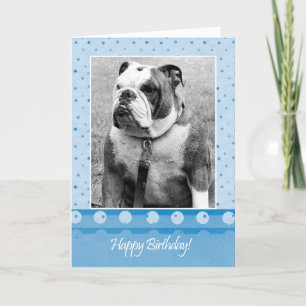 Schattige Bulldog Happy Birthday Blue dot Wenskaar Kaart