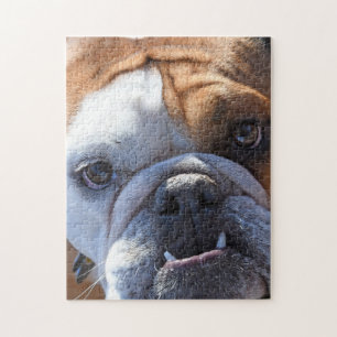 Schattige Bulldog Legpuzzel