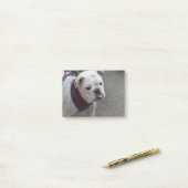 Schattige Bulldog Post-it® Notes (Op bureau)