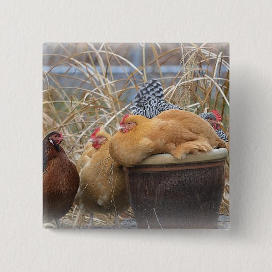 Schattige Button (Voorkant)