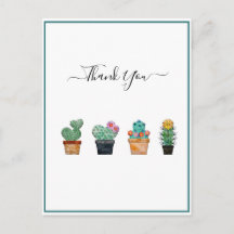 Schattige Cactus Groene Bloem