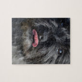 Schattige Caïro Terrier Legpuzzel (Horizontaal)