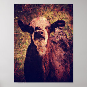 Schattige Calf Grunge Poster