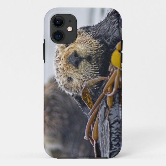 Schattige Californische Zeeotter Enhydra lutris Case-Mate iPhone Case (Achterkant)