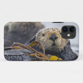 Schattige Californische Zeeotter Enhydra lutris Case-Mate iPhone Case (Achterkant (horizontaal))