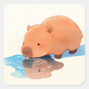 Schattige Capybara Drinkend uit Blauwe Plas Vierkante Sticker