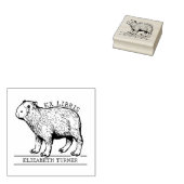 Schattige Capybara ex libris boek Rubberstempel (Gestempeld)