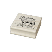 Schattige Capybara ex libris boek Rubberstempel (Stempel)