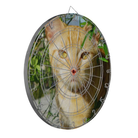 Schattige Cat Dartboard! Dartbord (Voorkant Links)