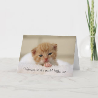 Schattige Cat Welkom op het Wereld baby wenskaart Kaart