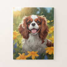 Schattige Cavalier King Charles Spaniel