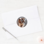 Schattige Cavalier King Charles Spaniel Ronde Sticker (Envelop)