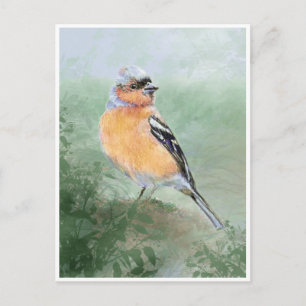 Schattige Chaffinch, Waterverf Vogel Collectie Briefkaart
