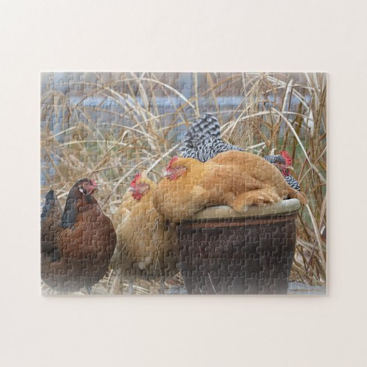 Schattige Chicken Puzzle Legpuzzel (Horizontaal)