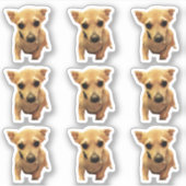 Schattige Chihuahua Honden 4Carly Sticker (Voorkant)