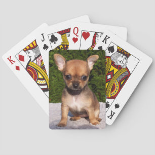 Schattige Chihuahua Puppy Dog Pokerkaarten