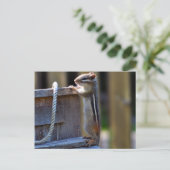 Schattige chipmunk briefkaart (Staand voorkant)