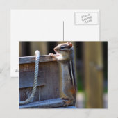Schattige chipmunk briefkaart (Voorkant / Achterkant)