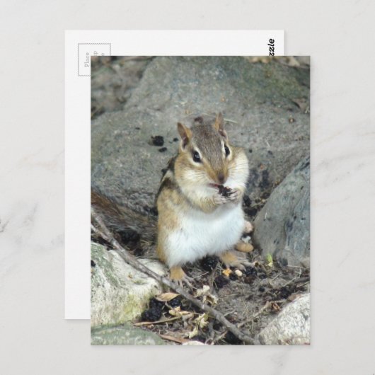 Schattige Chipmunk-Briefkaart Briefkaart (Voorkant / Achterkant)
