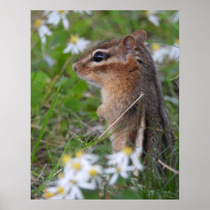 Schattige Chipmunk in bloemen Poster