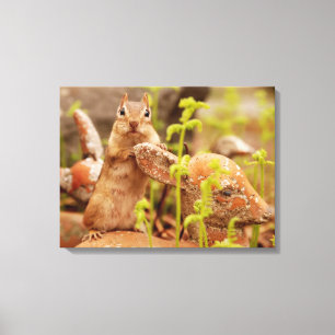 Schattige chipmunk op Statue Wrapped Canvas Afdruk