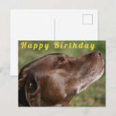 Schattige chocolade Labradoor - Gefeliciteerd Briefkaart (Voorkant / Achterkant)