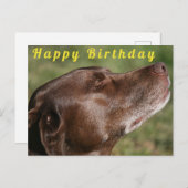 Schattige chocolade labrador hond - Gefeliciteerd Briefkaart (Voorkant / Achterkant)