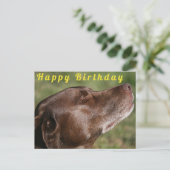 Schattige Chocolade Labradors hond - Gefeliciteerd Briefkaart (Staand voorkant)
