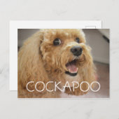Schattige Cockapoo Dog glimlachen Briefkaart (Voorkant / Achterkant)